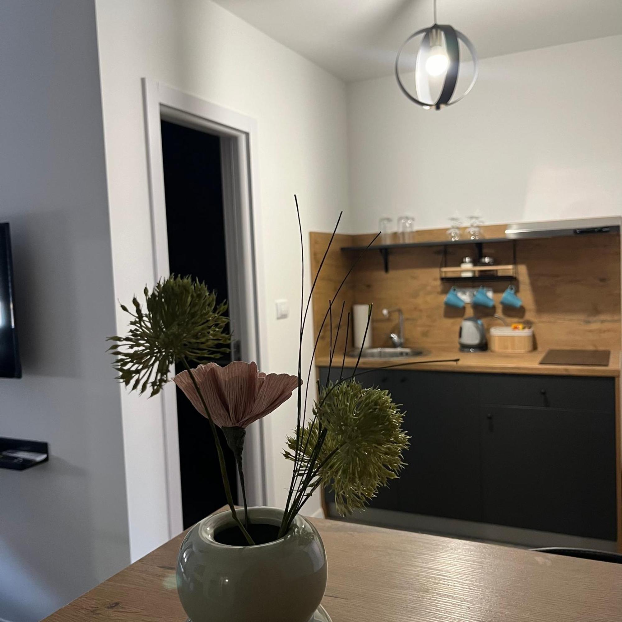 Beoair Apartments Surcin Bagian luar foto