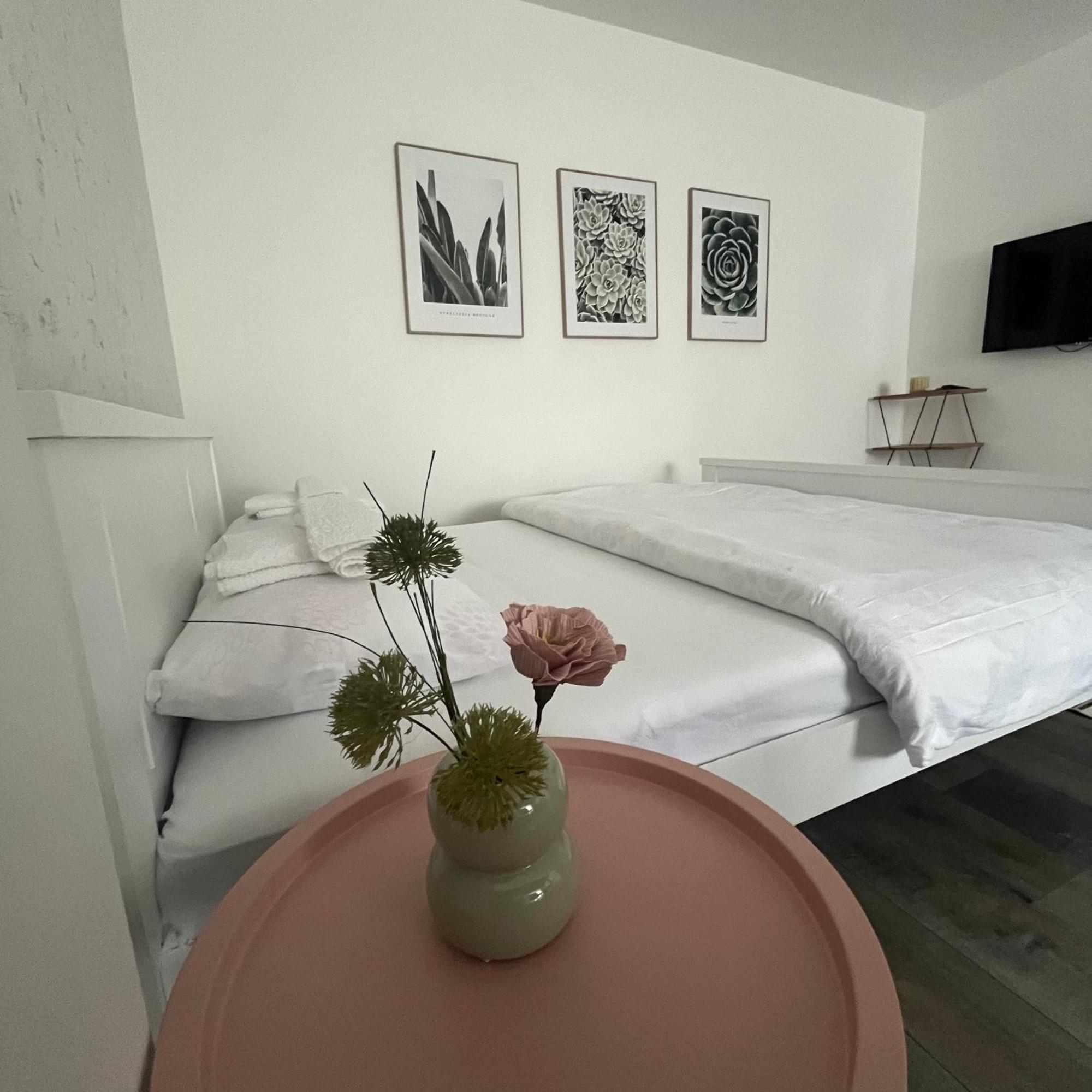 Beoair Apartments Surcin Bagian luar foto
