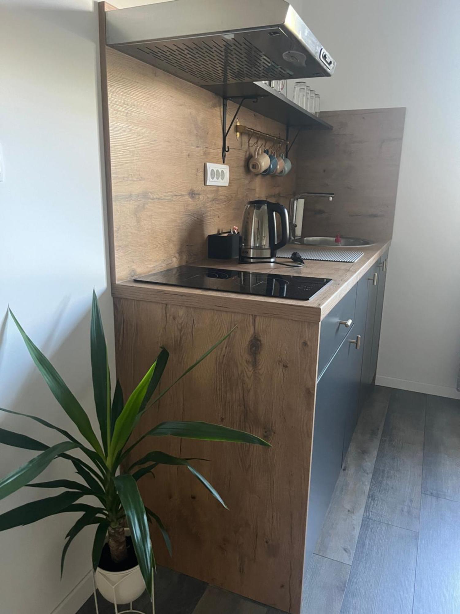 Beoair Apartments Surcin Bagian luar foto